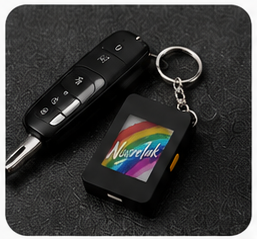 Car key set